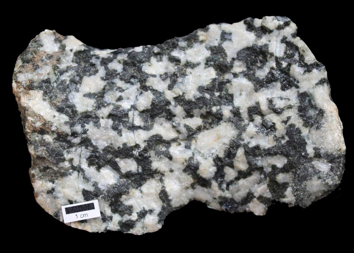 The Fascinating Andesite Porphyry