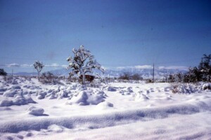 Does It Really Snow In California 0