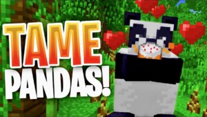 How Much Bamboo Does It Take To Tame A Panda In Minecraft 0