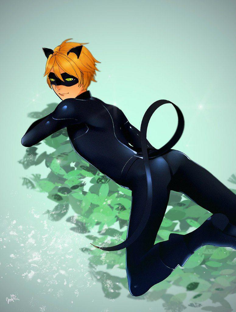 how old is cat noir