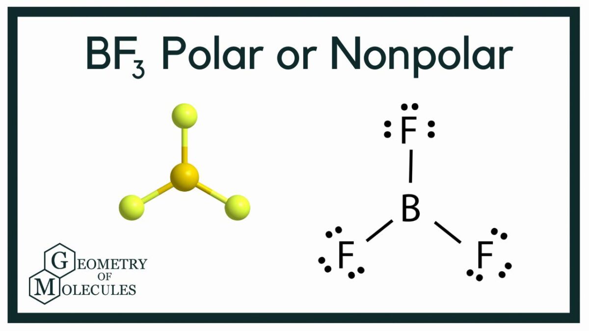 is-bf3-a-polar-molecule