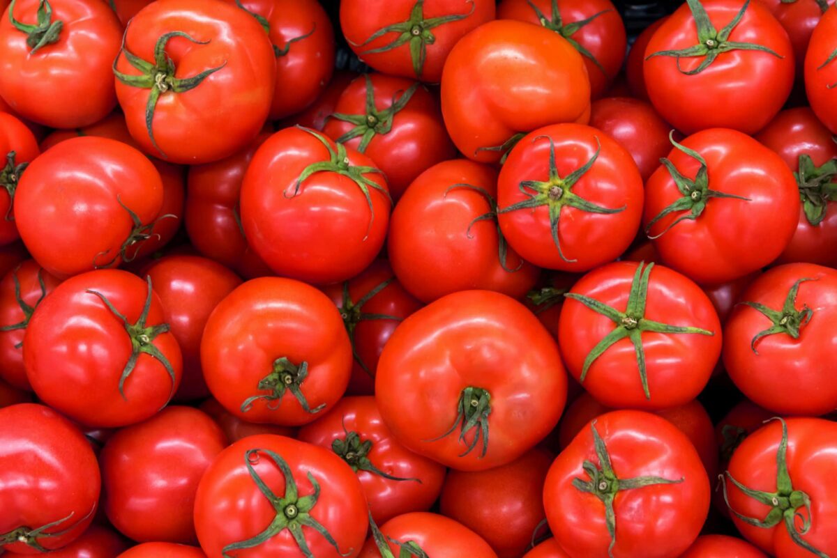 hot house tomatoes