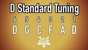 What Bands Use D Standard Tuning 0 300x169 jpg