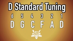 What Bands Use D Standard Tuning 0