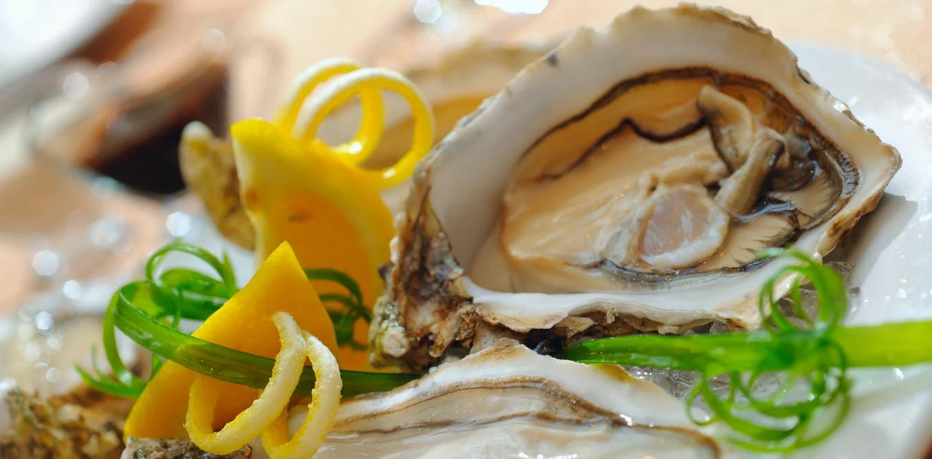 What Do Oysters Eat?