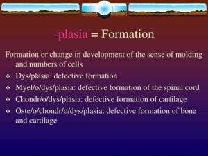 What Does Plasia Mean In Medical 0