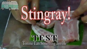 What Does Stingray Meat Taste Like 0
