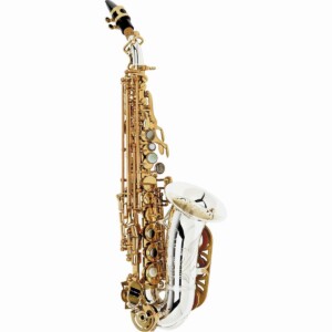 What Group Does Saxophone Belong To 0