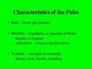 What Would Cause A Thready Pulse 0 300x225 jpg