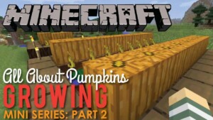 Why Wont My Pumpkins Grow In Minecraft 0