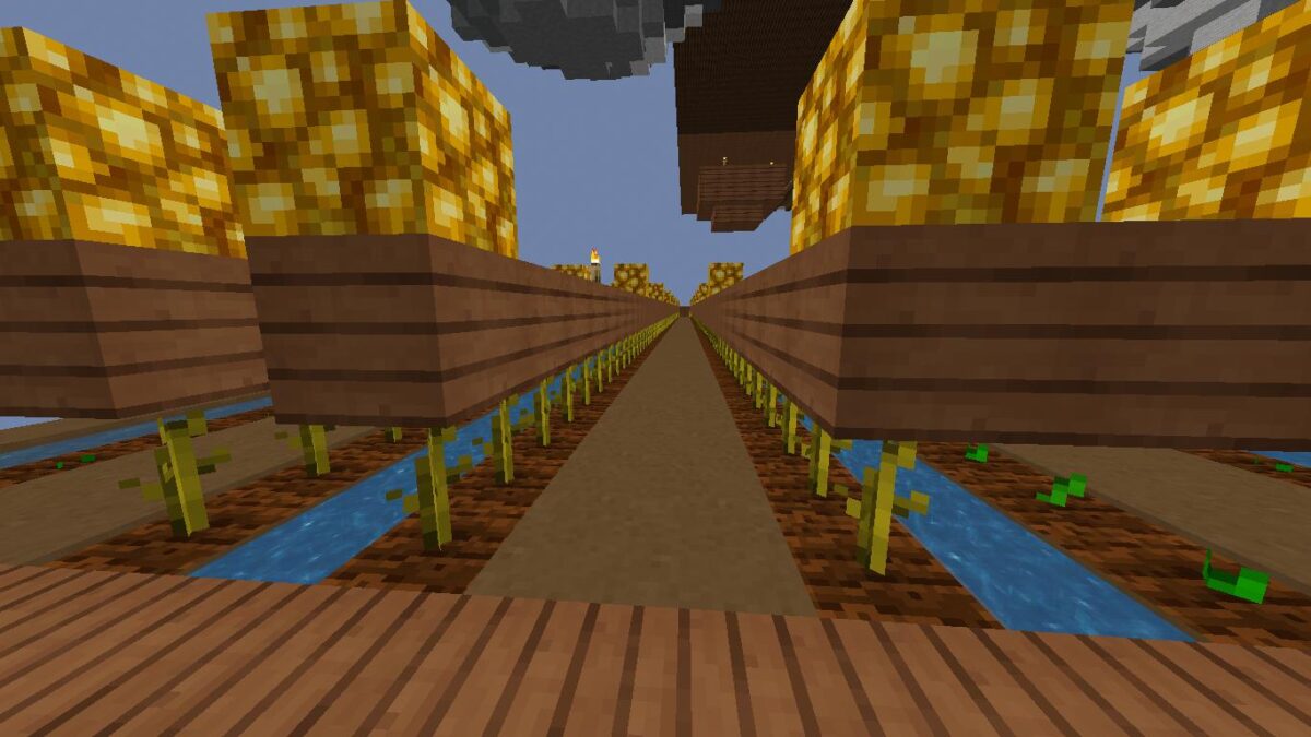 growing pumpkins minecraft