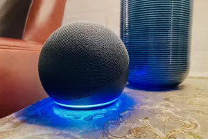 alexa won t play music 1 1