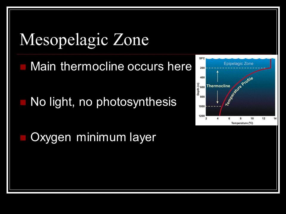 amount of oxygen in the mesopelagic zone