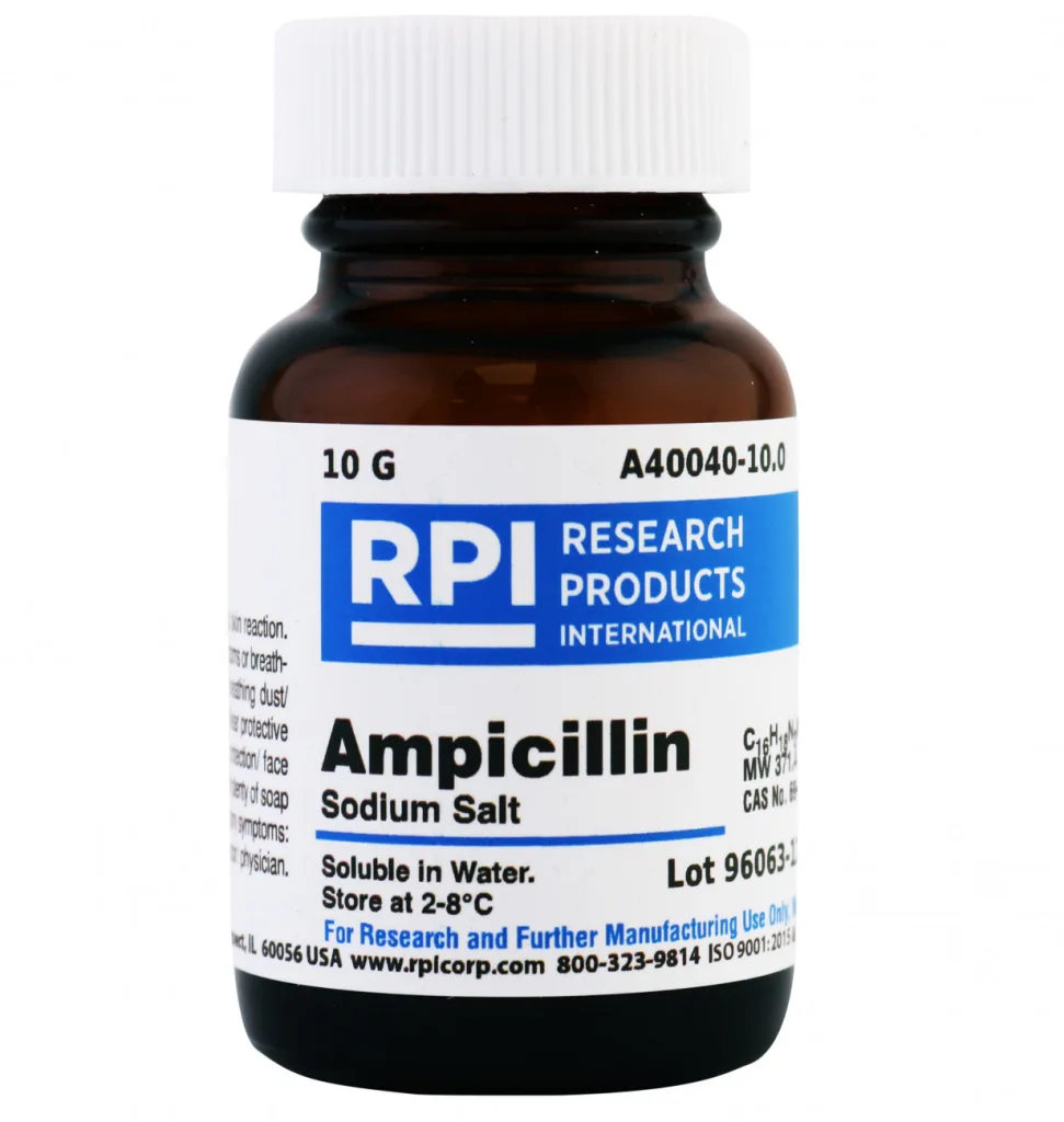 ampicillin 1672177183