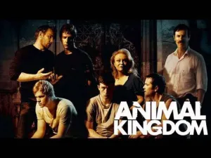 animal kingdom movie 1672213506