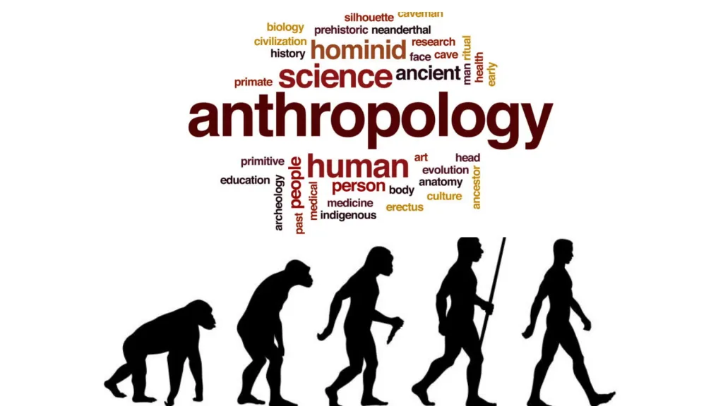 anthropology 1672308158