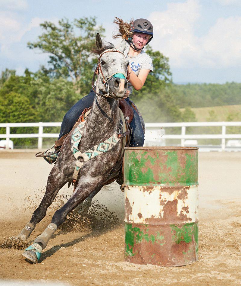 appaloosa barrel racing horses