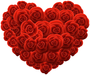 rose heart 1672208738