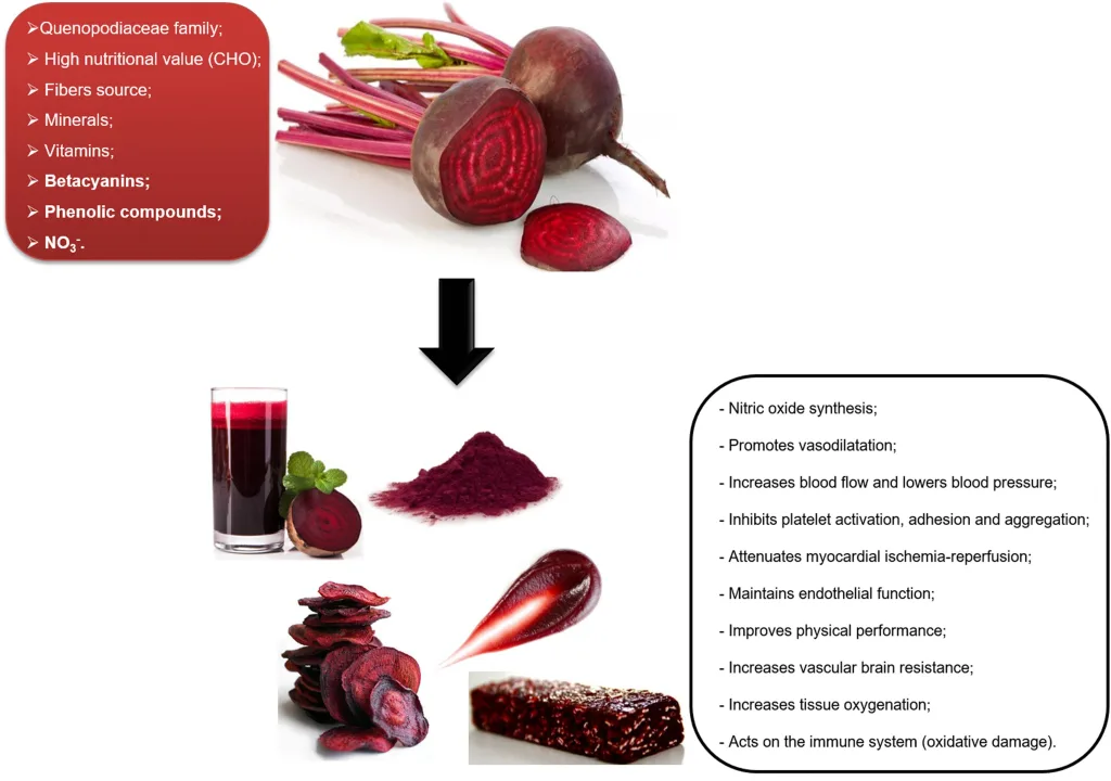 All You Need to Know About Low FODMAP Beets