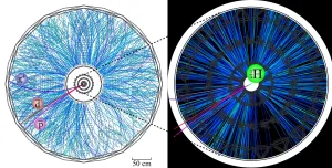 are cations or anions bigger 1 1