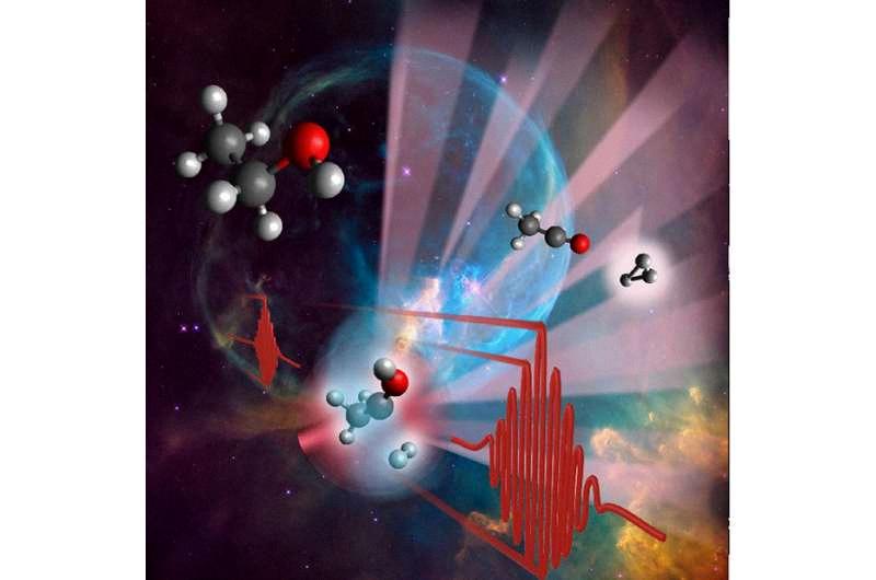 The Size Debate: Are Cations or Anions Bigger?