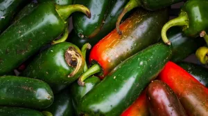 are poblano peppers spicy 1 1