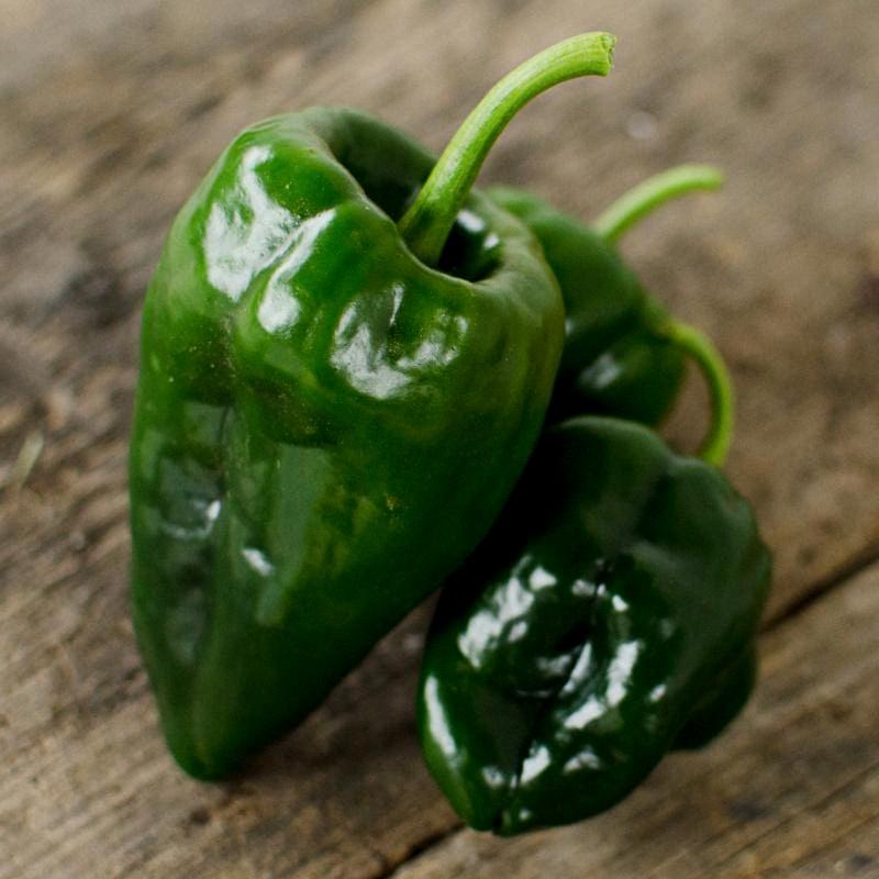 are poblano peppers spicy