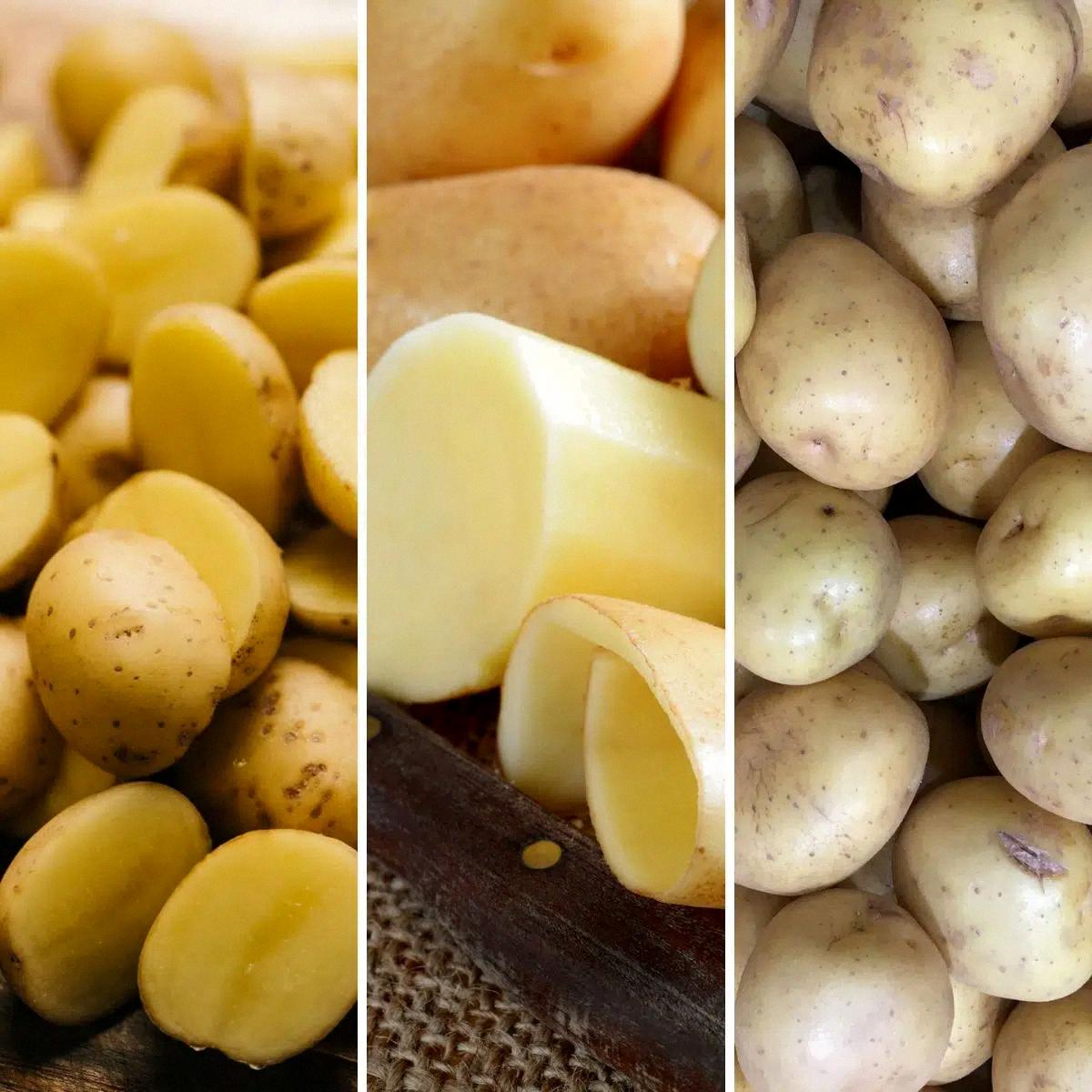 are yellow potatoes the same as yukon gold