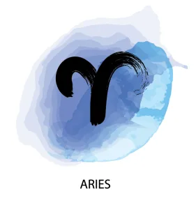 aries twin flame 1673425592