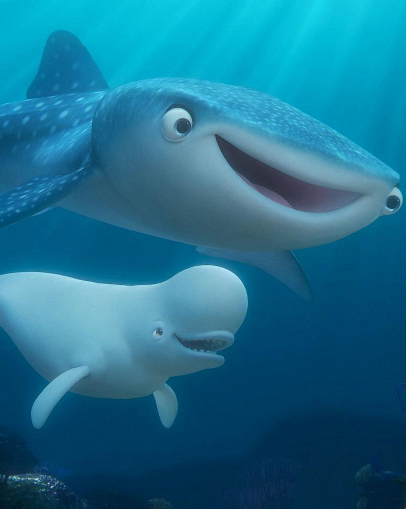 beluga whale from finding dory