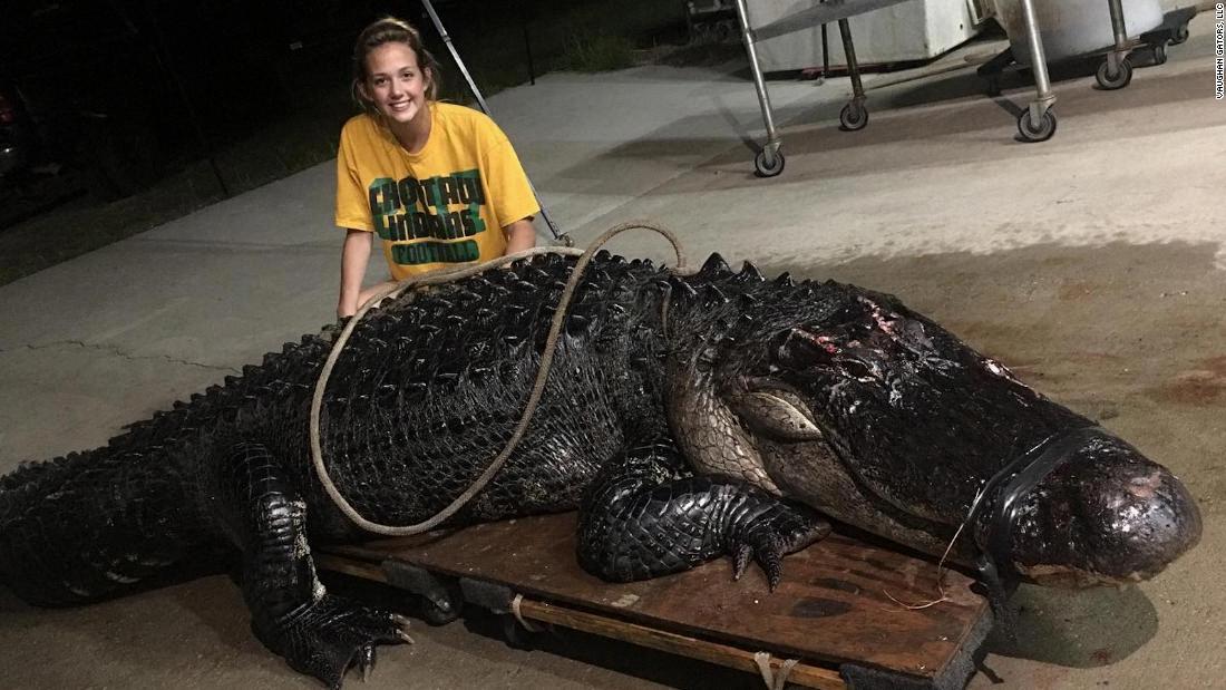 biggest alligator ever caught