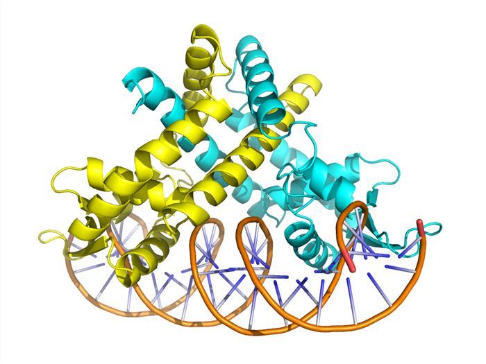 bimolecular interaction 1674282548