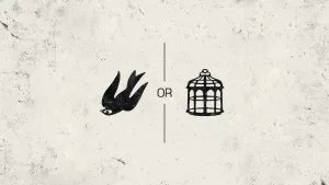 bioshock infinite bird or cage 1674283891