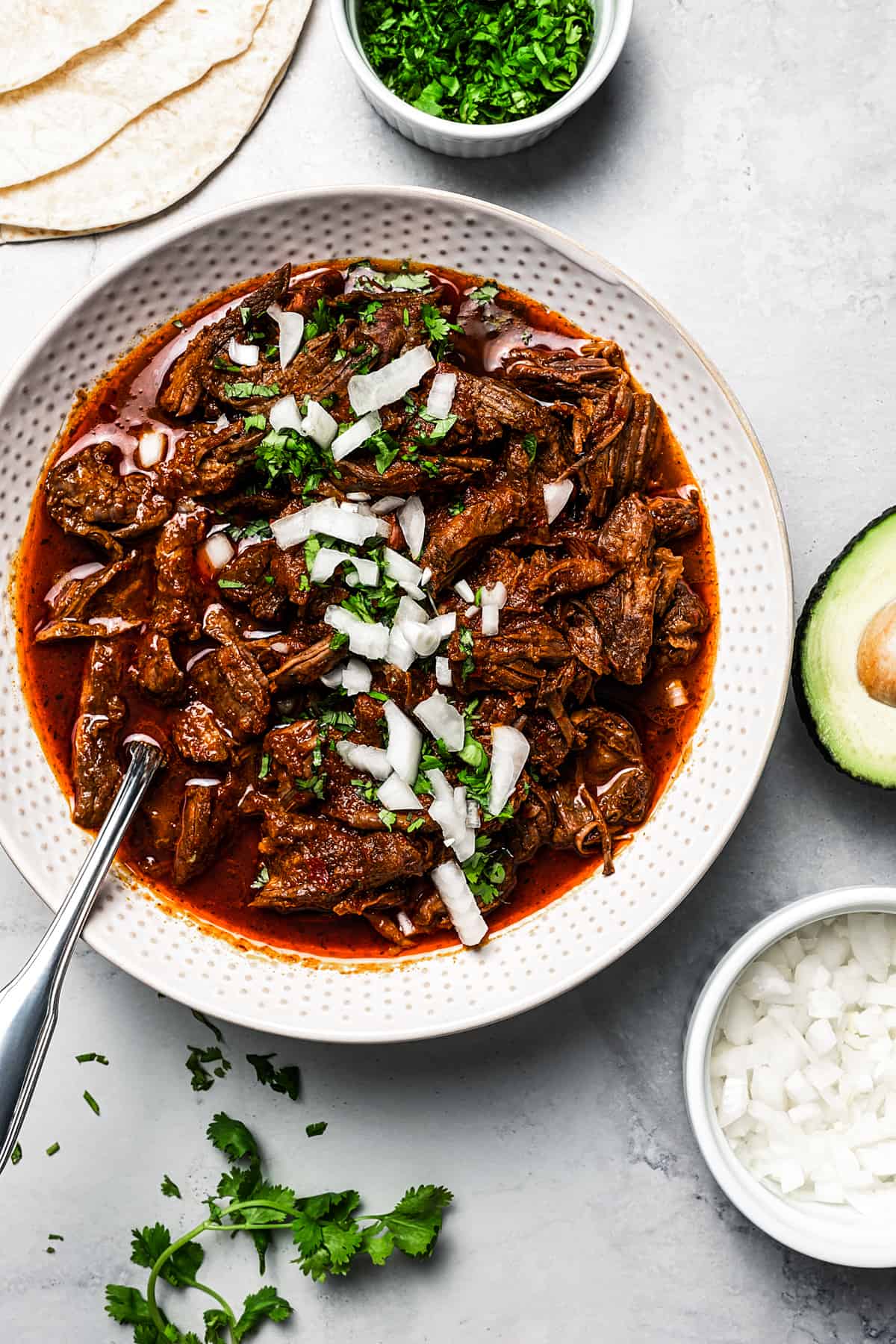 Birria: A Traditional and Exquisite Mexican Dish .E.