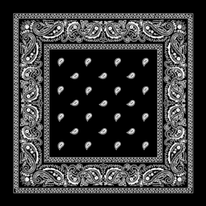 black bandana 1674285312