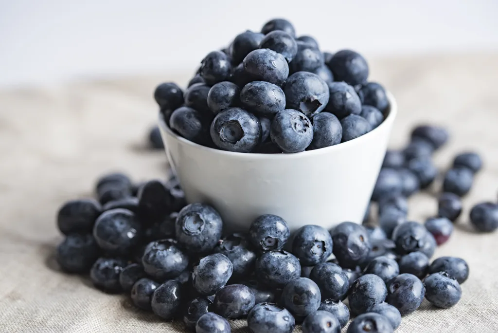 blueberries 1672739076