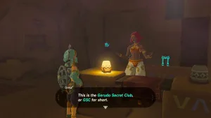 botw merchant hood 1 1