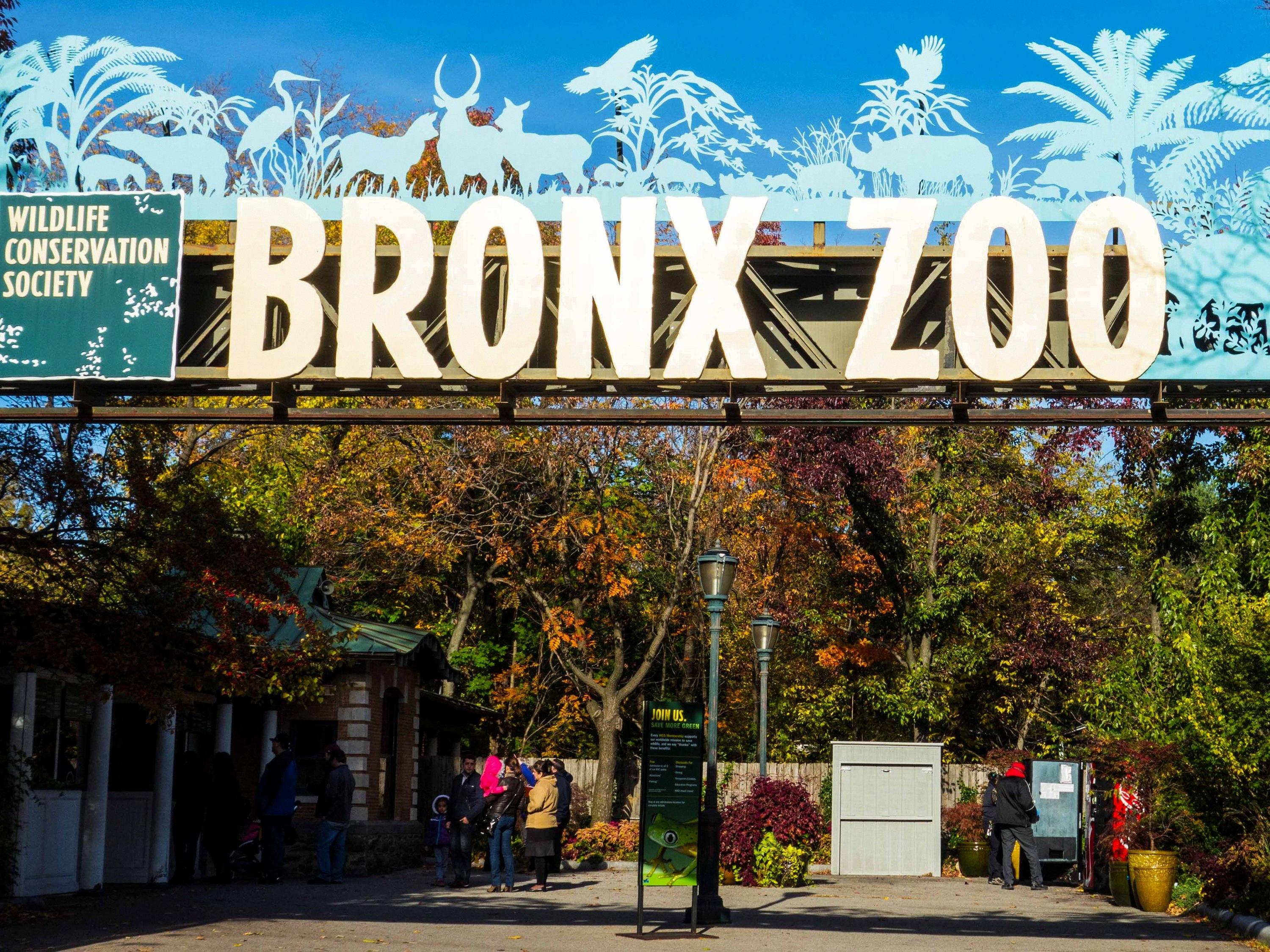 Explore the Bronx Zoo for Free on Wednesdays!