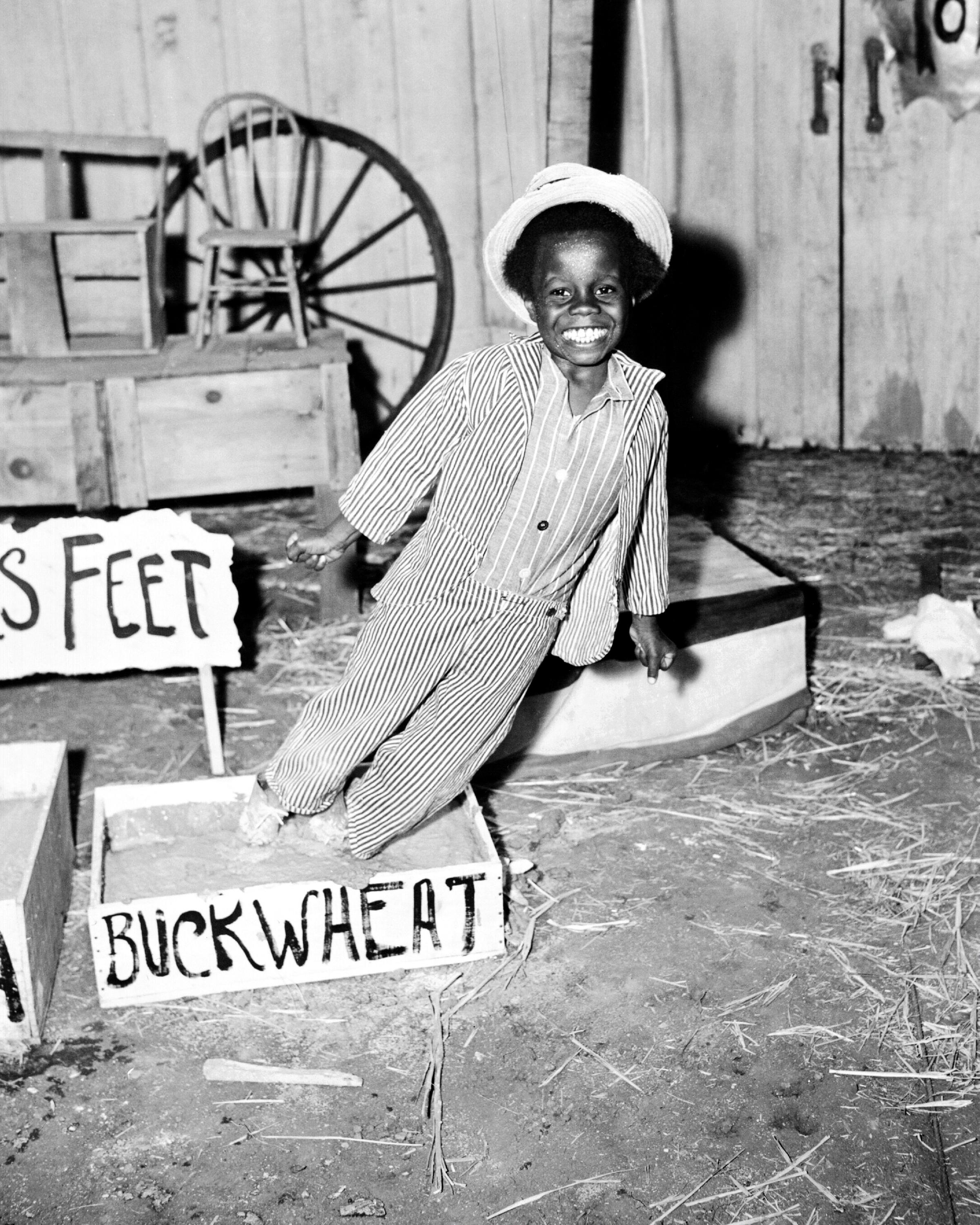 buckwheat otay