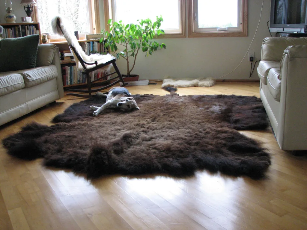 buffalo hide rug 1674386992