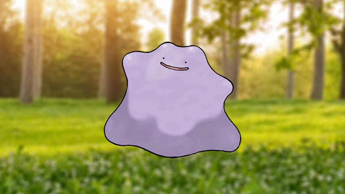 can wynaut breed with ditto