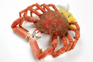 can you eat spider crabs 1 1