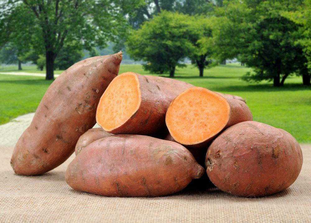 can you eat sweet potato skins
