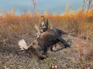 can you hunt moose with a 6.5 creedmoor 1 1