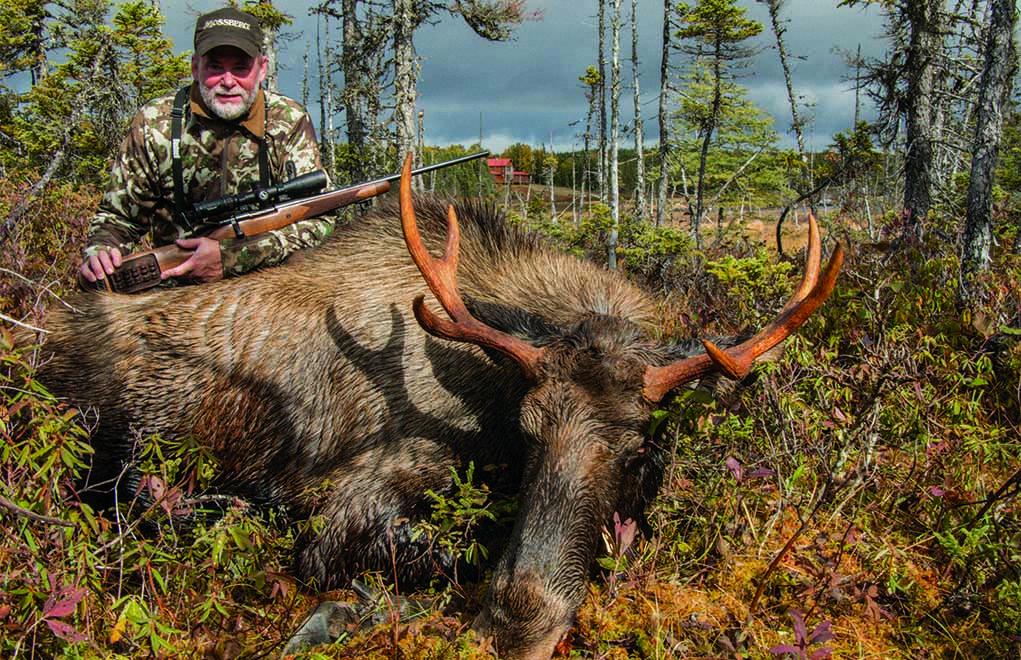 can you hunt moose with a 6.5 creedmoor