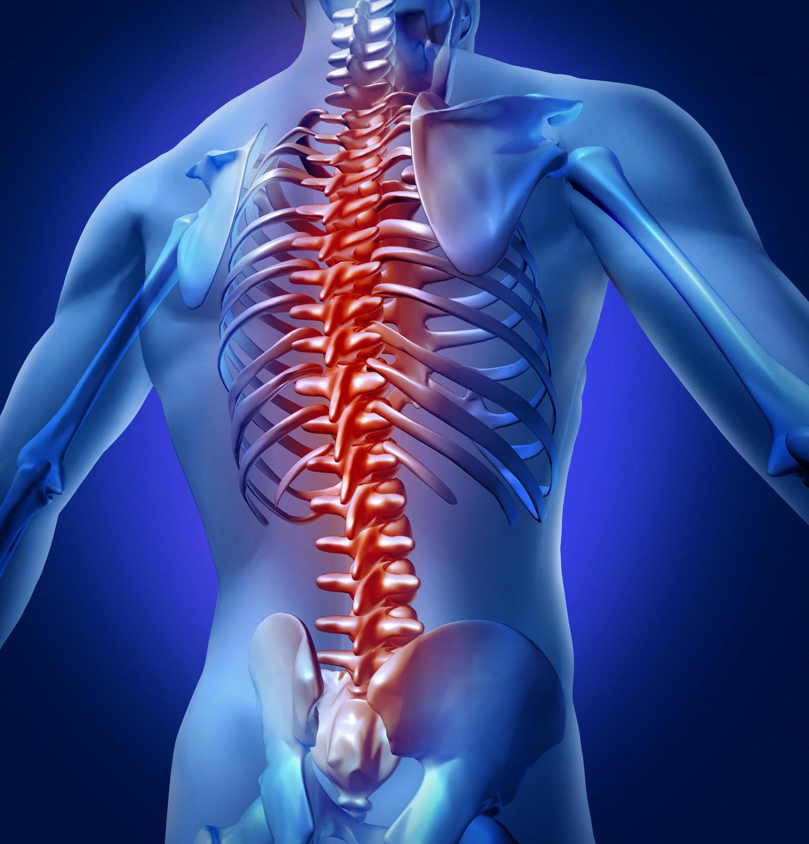 The Consequences Of Living Without A Spine