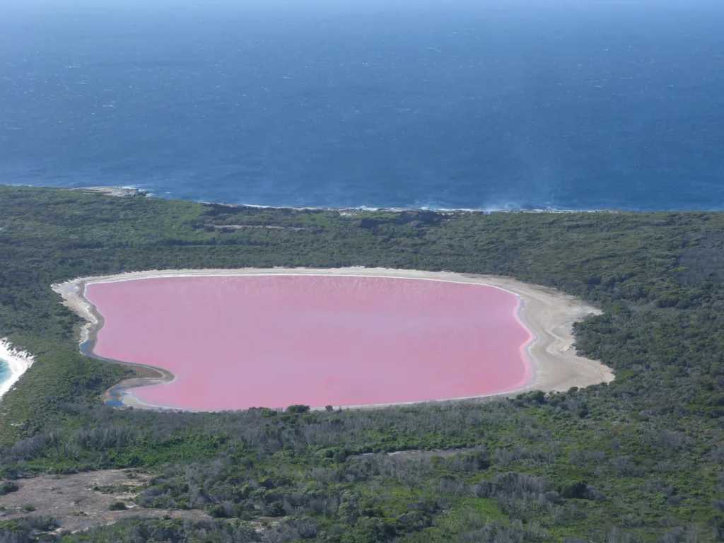 oh-blushing-pink-lake-to-swim-or-not-to-swim