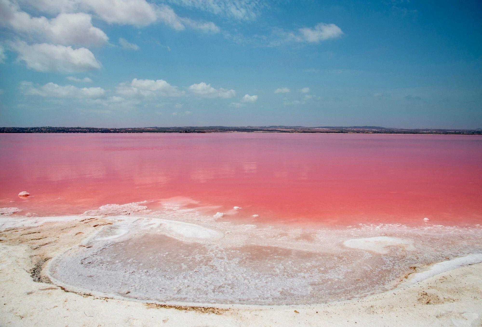 can you swim in the pink lake