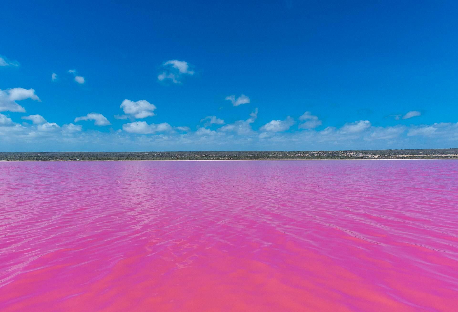 Oh, Blushing Pink Lake! To Swim or Not To Swim?