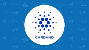 cardano 1000 1 1 1